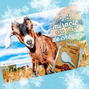 Illustration d'une chèvre avec un savon de la mésange bleue au lait de chèvre