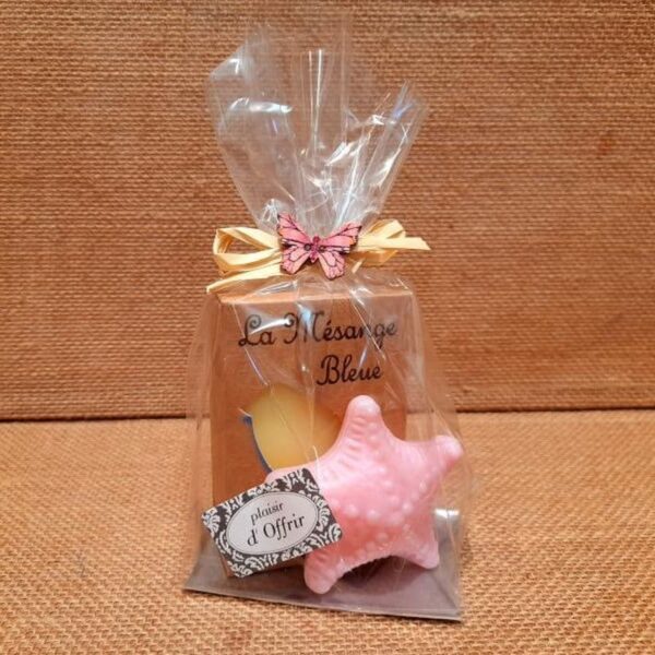 Sachet-cadeau-savon-parfume-et-savon-fantaisie-classique-la-mesange-bleue