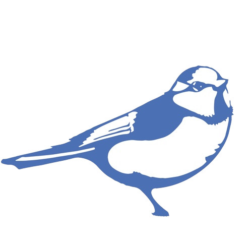 mesange-bleue-trans
