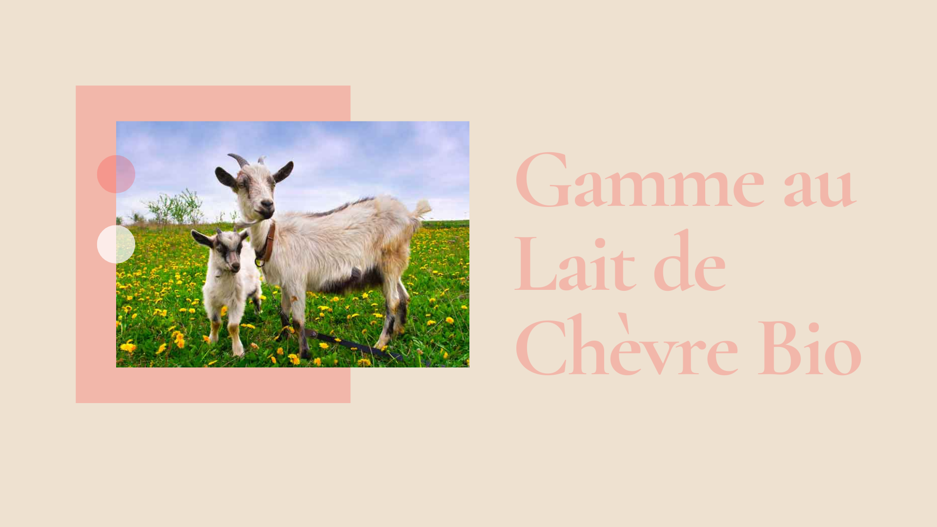 Gamme au lait de chèvre bio représenté par une chèvre et son chevreau