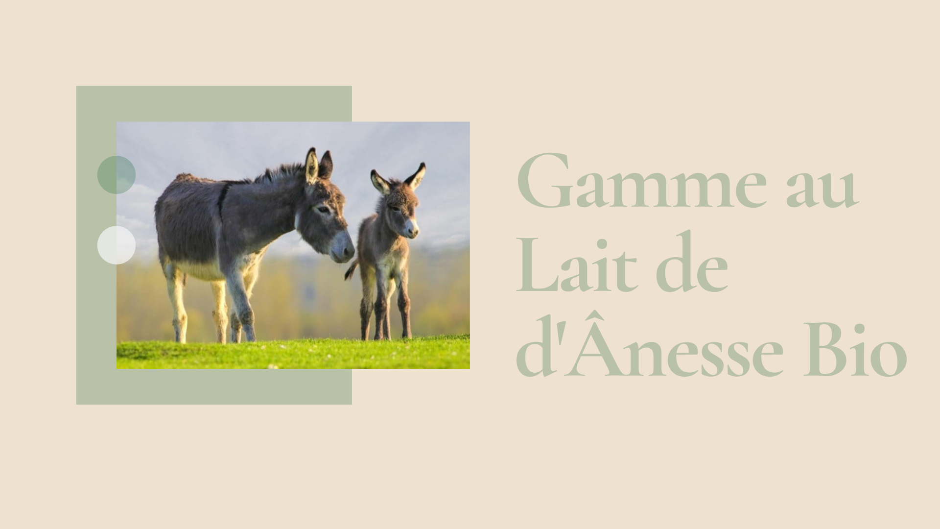 Gamme au lait d'ânesse bio représenté par une ânesse et son ânon