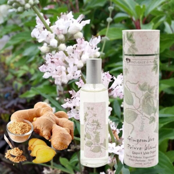Eau de Toilette Gingembre / Poivre Blanc